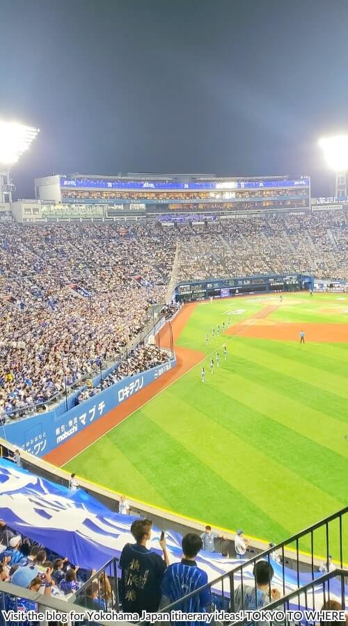 yokohama day trip to baystars baseball game from tokyo