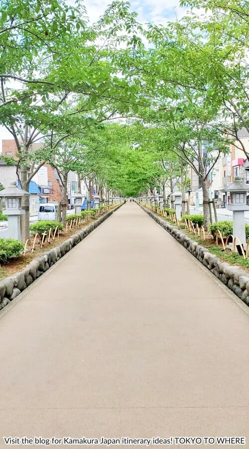 dankazura avenue walking route to tsugaoka hachimangu shrine
