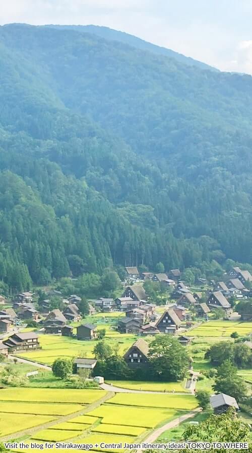 takayama day trip to shirakawago village in central japan in summer
