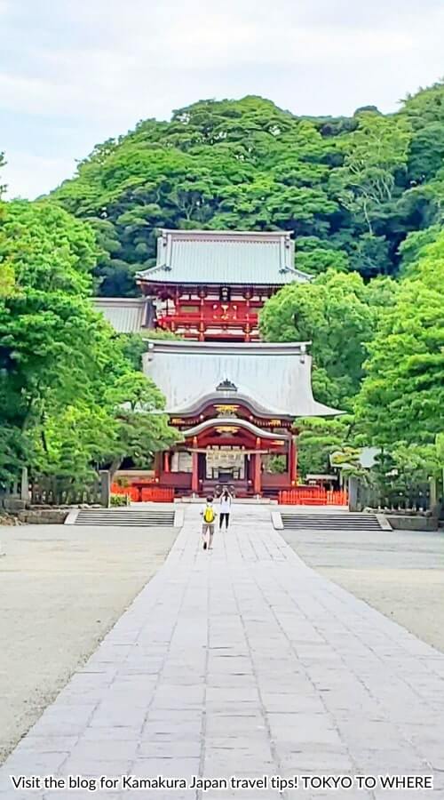 walking to tsurugaoka hachimangu shrine