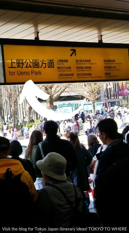 how to get to ueno park torii tunnel