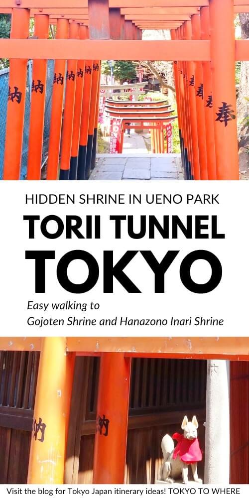 ueno park torii tunnel in tokyo. gojoten shrine torii tunnel. hanazono inari shrine torii tunnel.